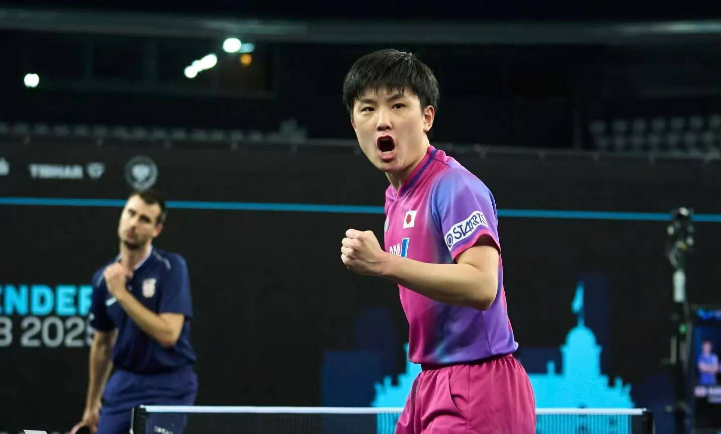 瑞典乒乓球队横扫波兰乒乓球队,张本智和统治全场 瑞典乒乓球队横扫波兰乒乓球队,张本智和统治全场