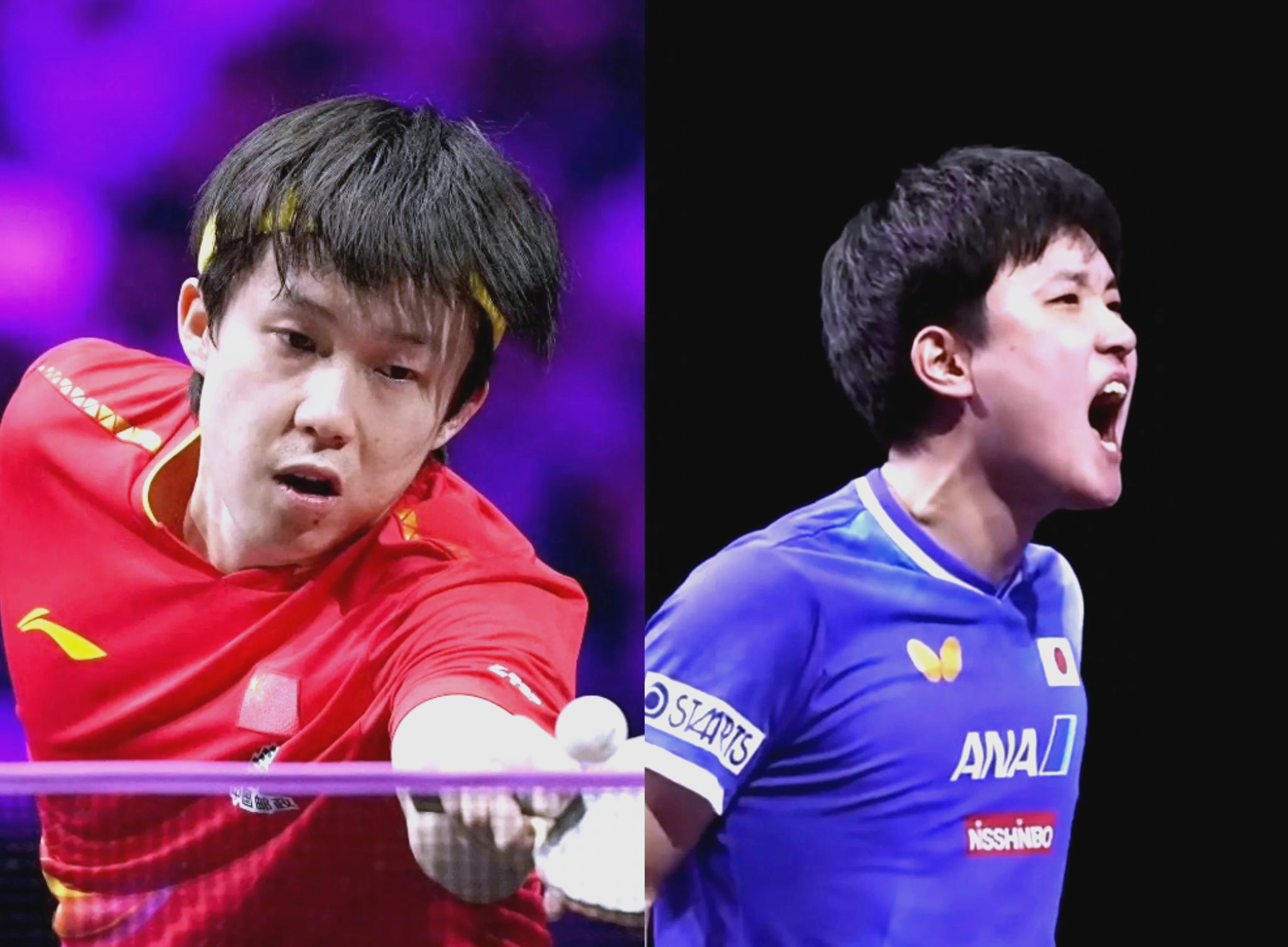 瑞典乒乓球队横扫波兰乒乓球队,张本智和统治全场 瑞典乒乓球队横扫波兰乒乓球队,张本智和统治全场