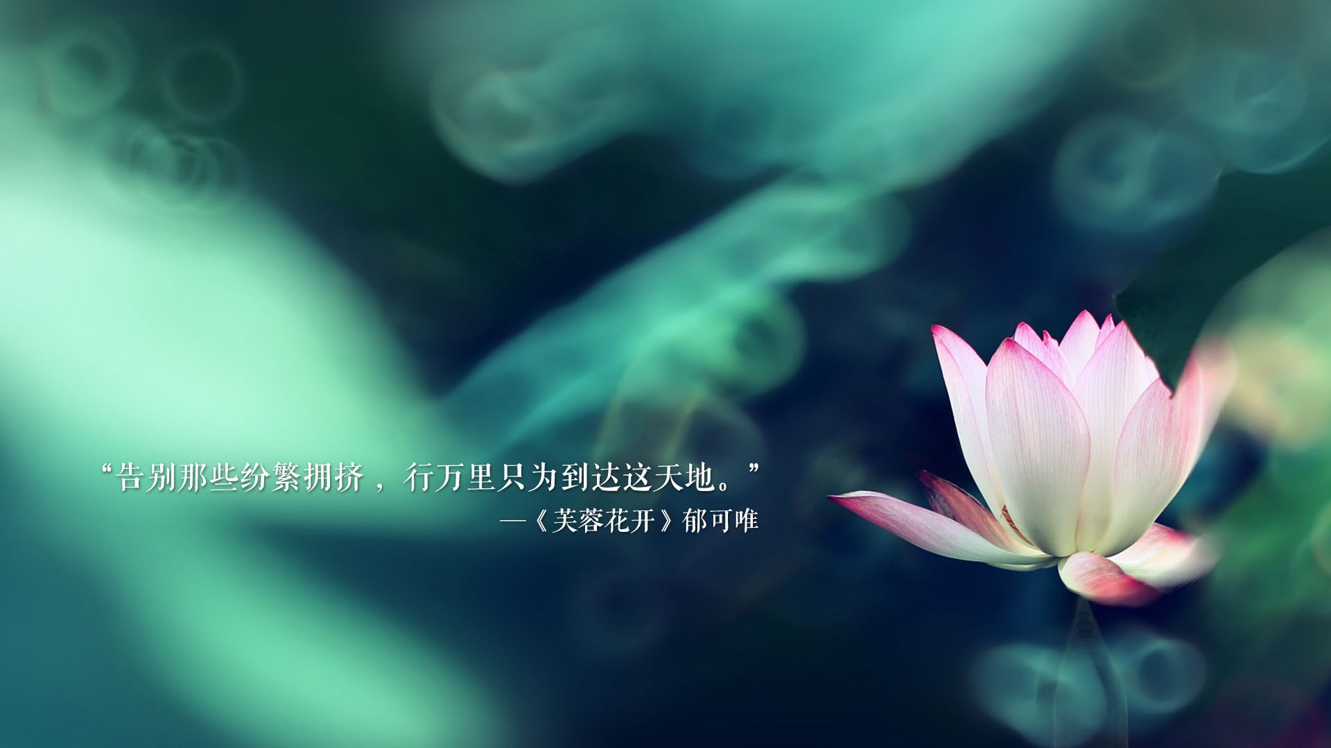 独舞与超越,当周冠宇的智慧刺破红牛王朝的喧嚣