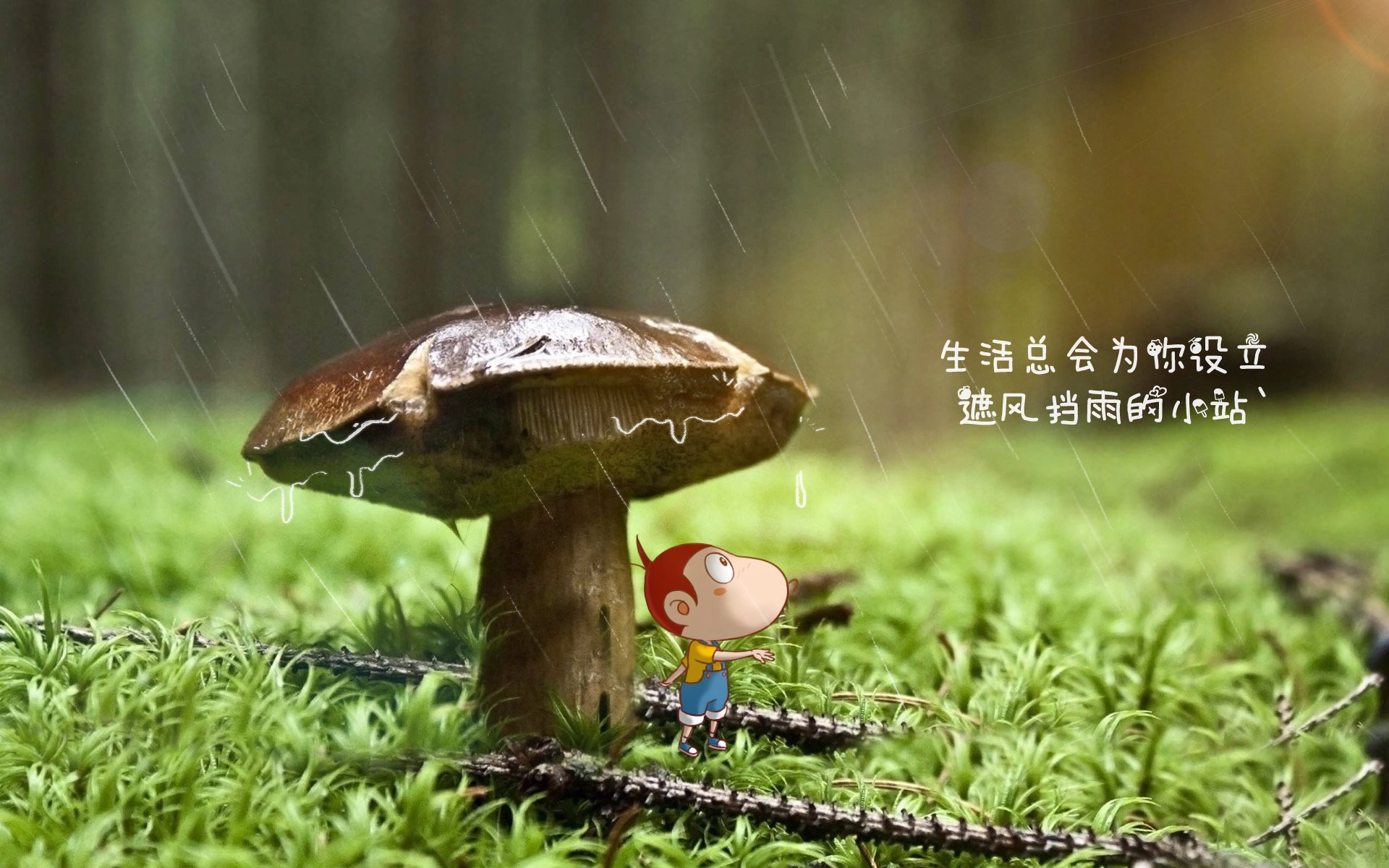 攻防之间的艺术，皮克的掌控与威尔士的铁蹄