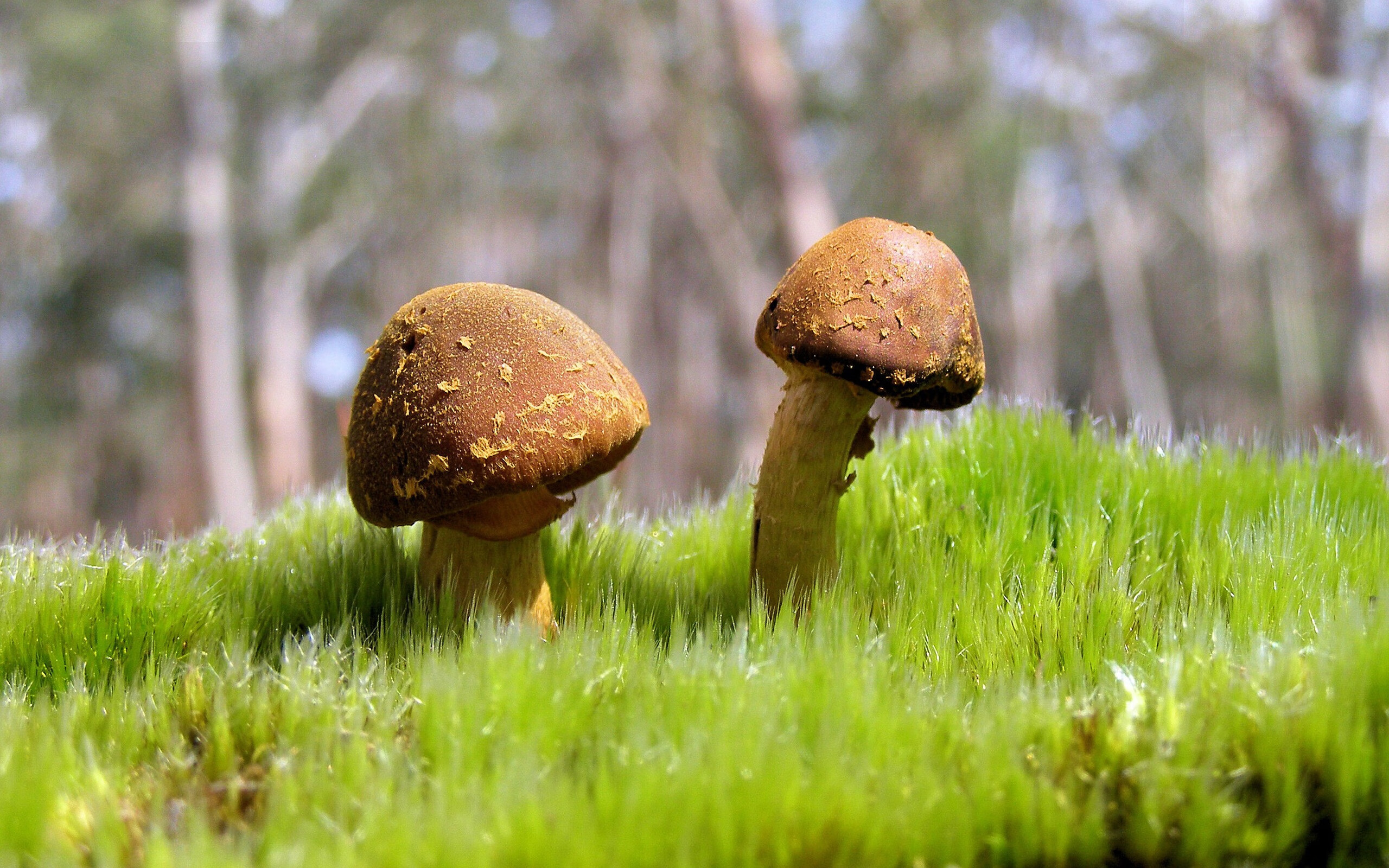 加时绝境，内马尔绽放，从南美魔术师到红黑救世主的史诗夜