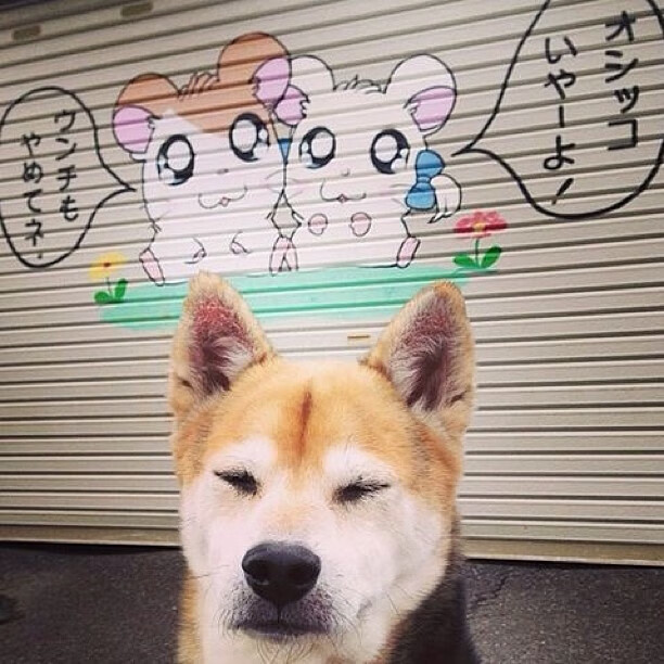 战火淬炼的硬仗之王，马克西在抢七之夜加冕