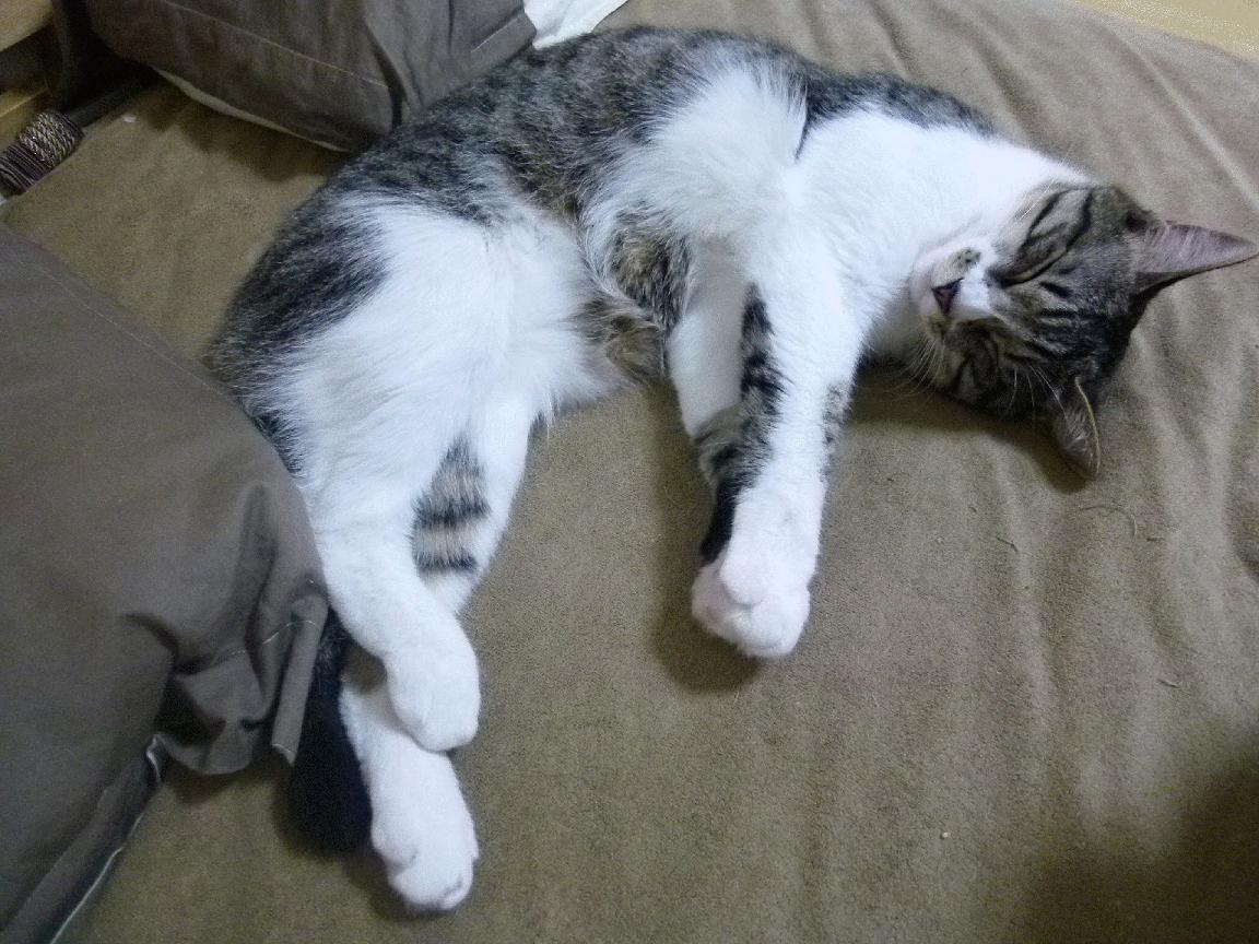 西决生死战之夜,皮克,那个用灵魂指挥全队节奏的人