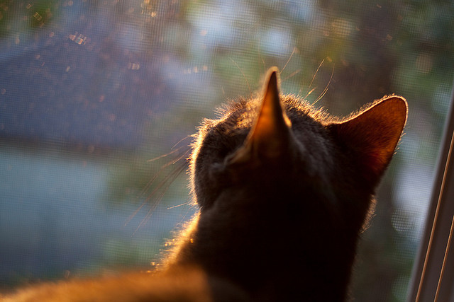 数据风暴眼中的单核统治者,苏格兰对阵巴拉圭复盘
