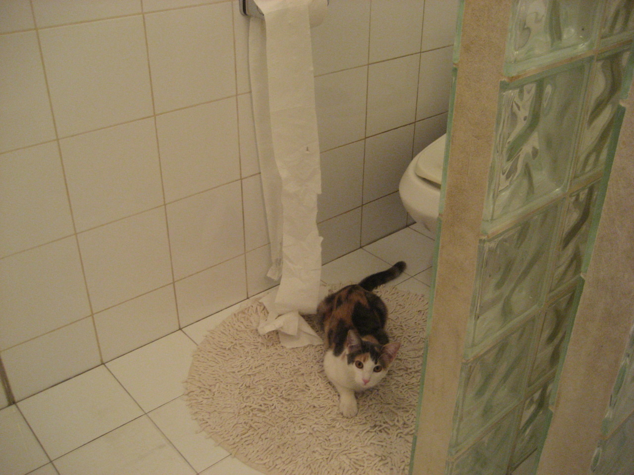 沪上风云对决北境铁壁，当东方魔术遭遇塔图姆时刻