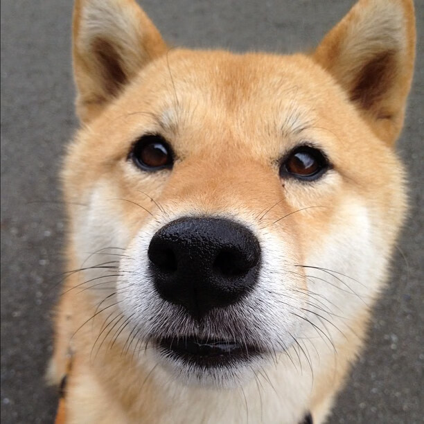 摩洛哥利刃出鞘,意甲焦点战中如何打穿利物浦的钢铁防线