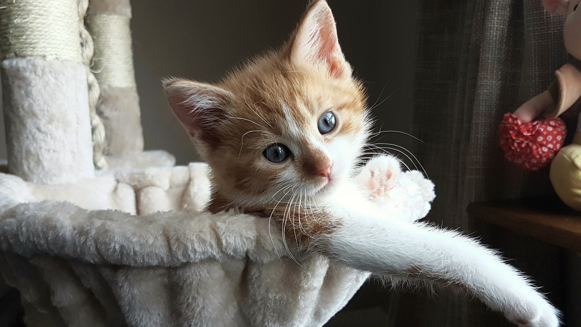 加时逆转！深圳绝境逢生，哈登47+16打出生涯封神夜