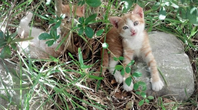 鏖战三晋,惊雷定乾坤—记切特封神之夜