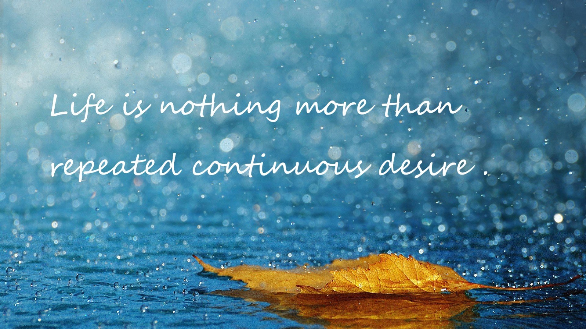 狂飙38分+生死搏杀!米切尔撕碎辽宁防线,黄蜂险胜夺赛点