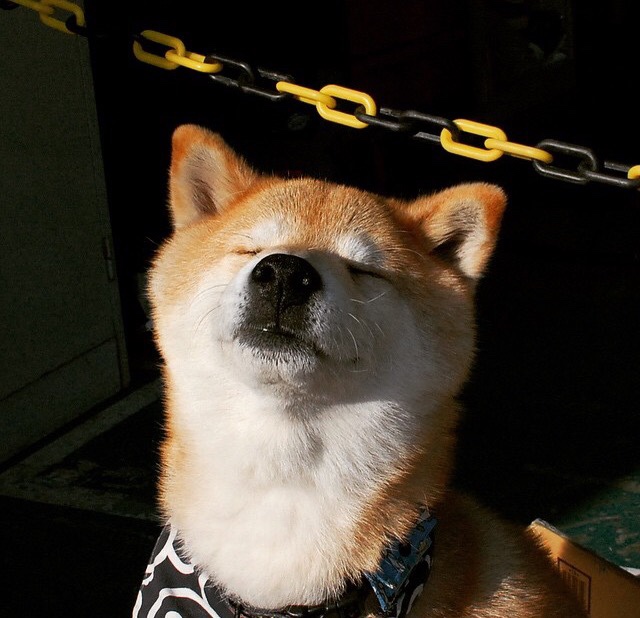 刀刃上的舞蹈,塞内加尔铁蹄收割智利,梅西以天赋编织命运