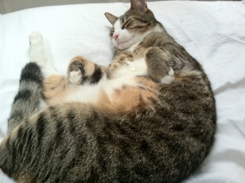 缺席的审判官,当杜兰特字母哥的对决被詹姆斯幽灵笼罩