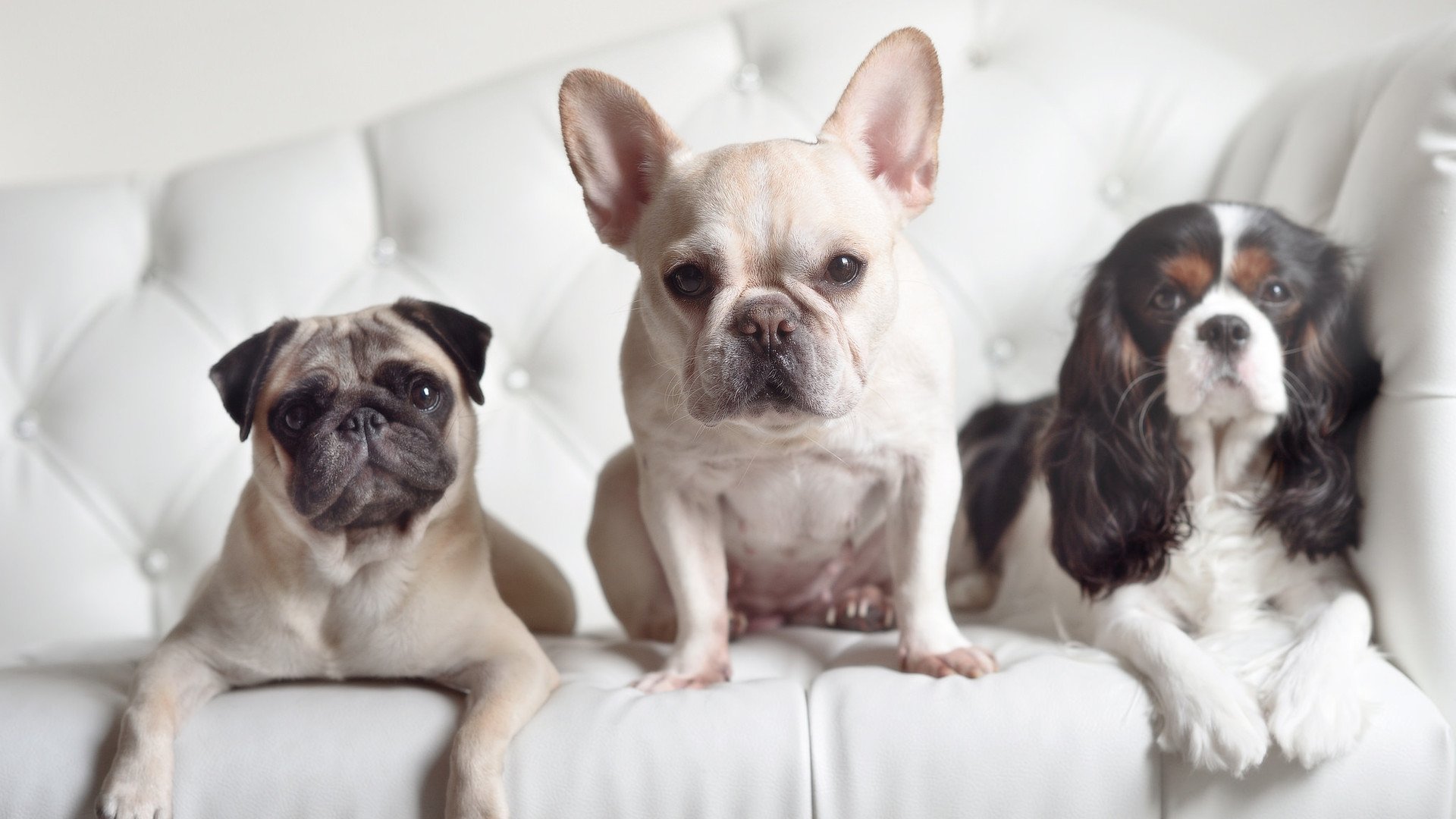 超越，从巴林赛道到丹佛高原的速度与智慧